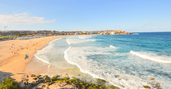 From city to coast: Navigating the shift to coastal living. From city to coast: Navigating the shift to coastal living.
